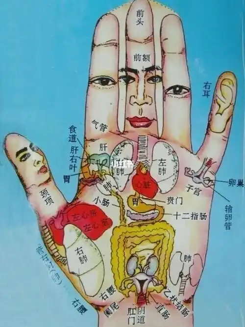 手部刮痧那些事_手部_刮痧_北京攻略_电视剧_熬夜