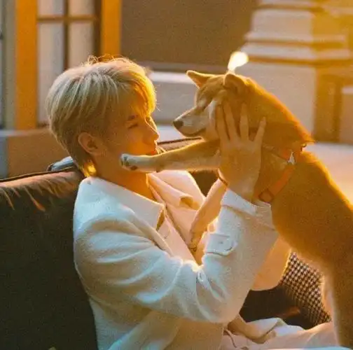 心心念念的张真源头像