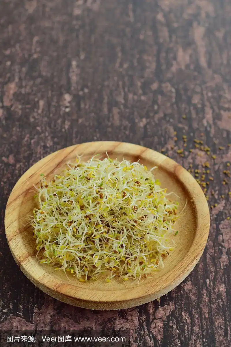 有机食品,紫花苜蓿芽,紫花苜蓿,自然,素食