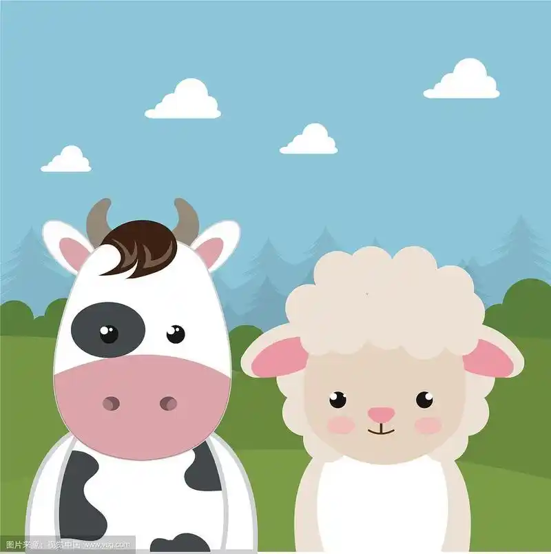 可爱的羊和牛在田野景观