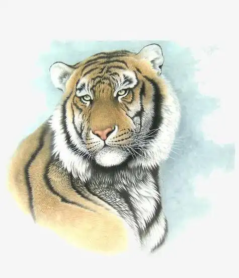 均是用户上传分享当代中国画名家画虎国画工笔虎头矢量老虎复制品字画