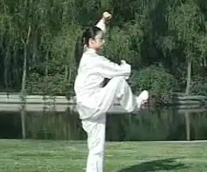 武式太极拳46式竞赛套路 邱慧芳