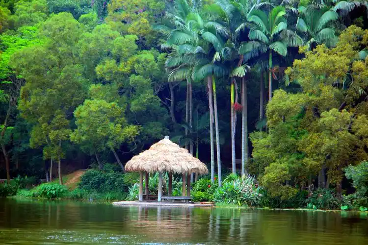 厦门大学的"情人谷"风光依旧美好,这才是厦大最浪漫的地方