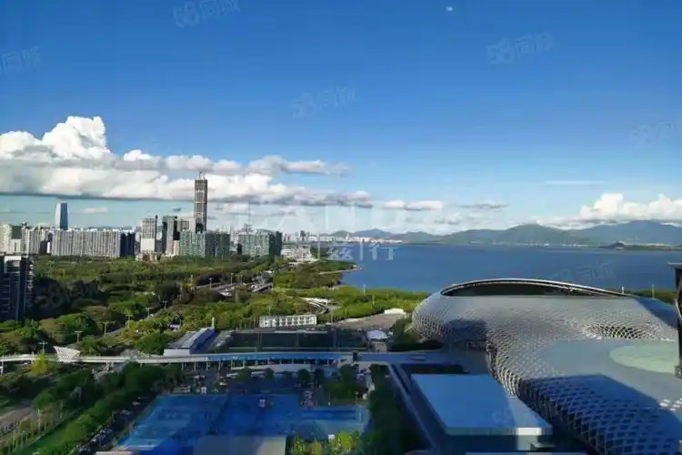 华润深圳湾悦府(一期)3室2厅3卫261.2㎡东西0万