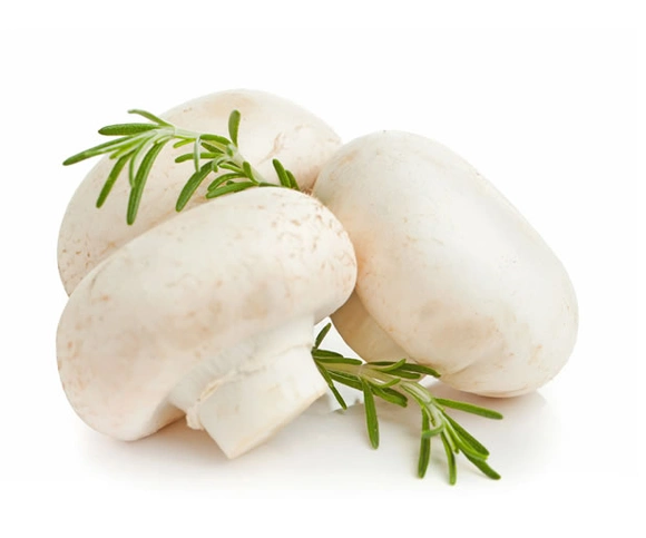 圆菇(仅限西宁市区销售)