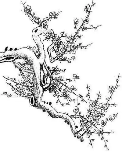 卜算子咏梅简笔画配图