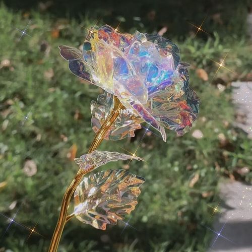 流彗超大一朵玫瑰花七彩变幻金箔星空玫瑰花浪漫永恒情侣七夕情人节礼