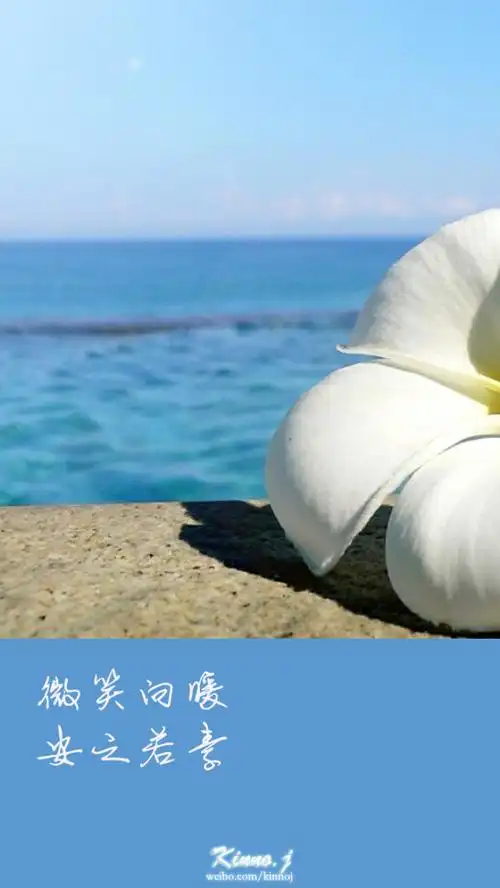 微笑向暖 安之若素