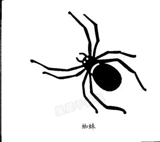 蜘蛛简笔画怎么画