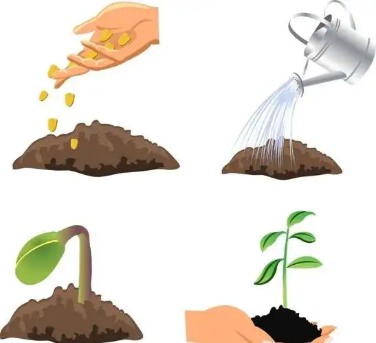 班小朋友两周活 写美篇老师带领幼儿种植蔬菜,让幼儿亲自学会了种菜