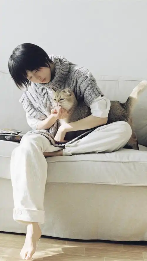 壁纸·成果 爱情公寓诸葛大力