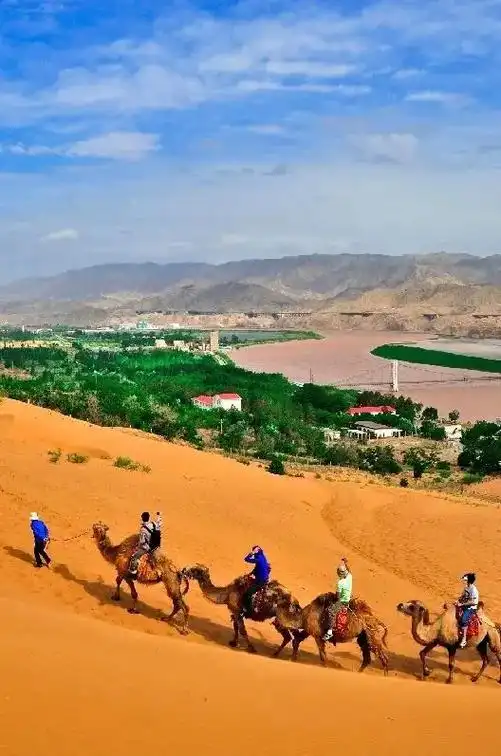 70 沙坡头 70 橱窗好物分享 70 宁夏沙坡头国 - 抖音