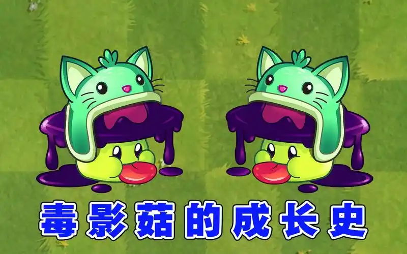 植物大战僵尸2:拥有厄难毒体的毒影菇,1至4阶毒性有多强?