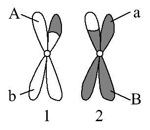一,选择题(包括10小题,每小题5分,共50分) 1.