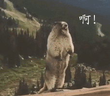 出国留学申请被拒常见的10大理由,犯了最后一条恨不得掐自己大腿