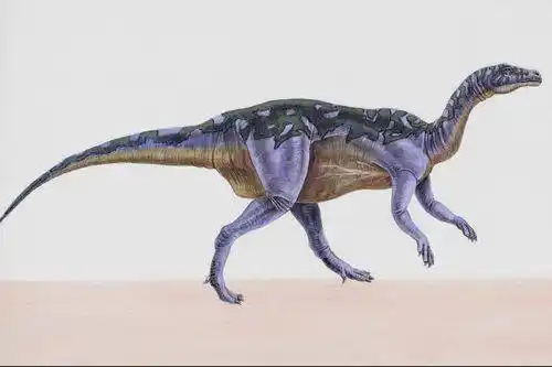 北票龙泥潭龙nothronychus伪君龙镰刀龙本站是提供个人知识管理的网络