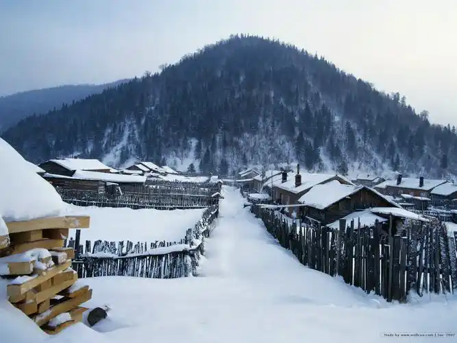 白雪小村庄