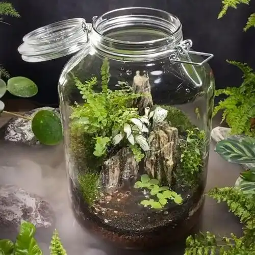 创意玻璃瓶微景观之仙境