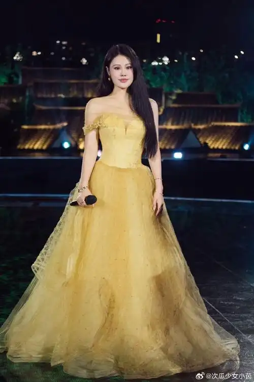 袁娅维唱出了游子归乡情