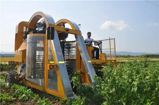 树莓采摘机 助力农民增产增收