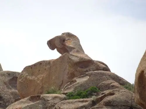 海枯石烂,佛法无边,天狗望月,化腐朽为神奇!