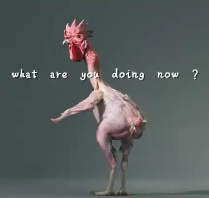 what are you doing now? - 无毛鸡搞笑表情_公鸡表情