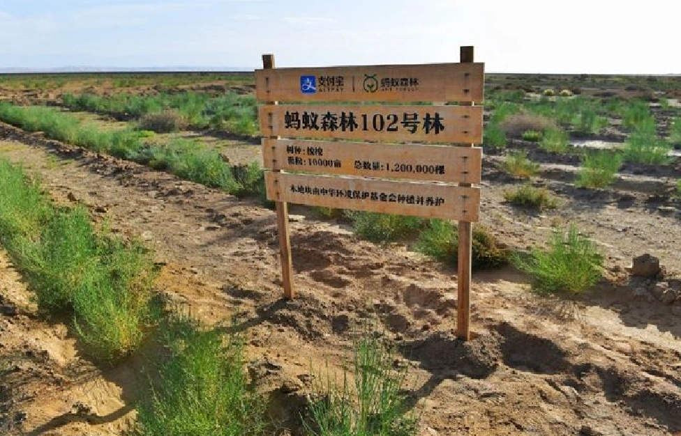 马云退休后,蚂蚁森林公布一张对比照,网友瞬间泪目:竟都是真的