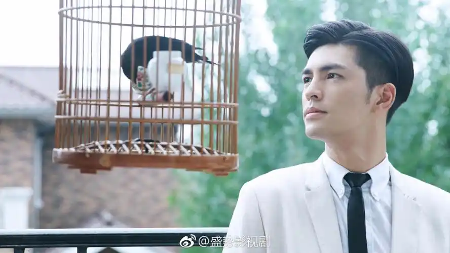 龚俊:演员 [盛势]中饰演夏耀 模特 徐峰:演员 [盛势]中饰演袁纵 模特