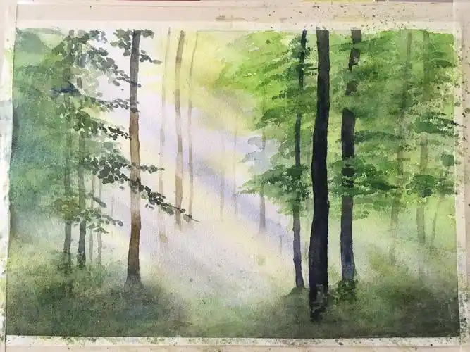 水彩画阳光下的小树林含分解步骤