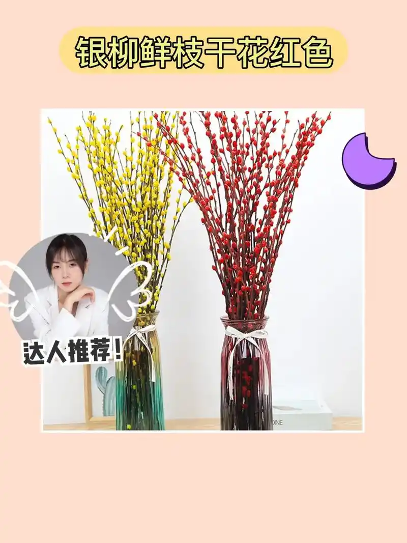 银柳真花水培,酷爱年宵美景94.