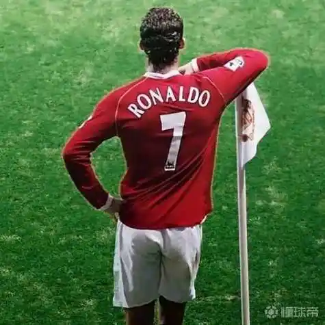 足球高清图片第一期本期为c罗背影图源无网络收集