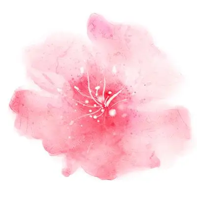 粉色花朵花瓣png素材元素