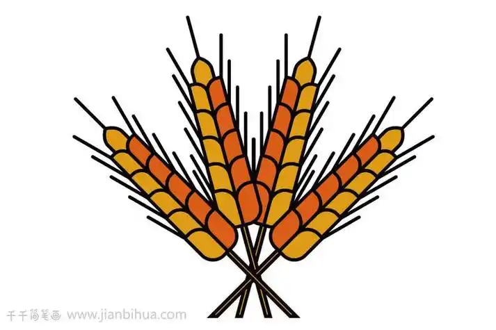 秋天播种农作物简笔画