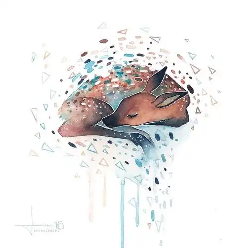 水彩 动物绘画 插画师ins@kelogsloops