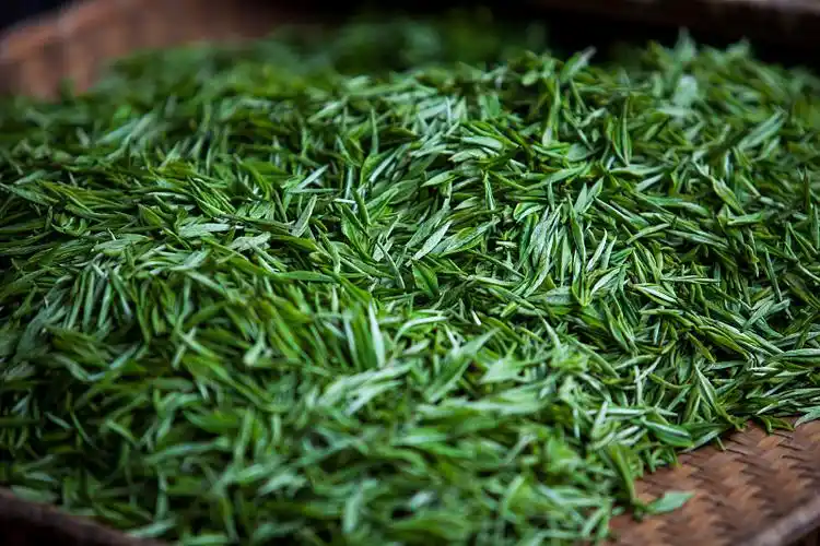 杭州西湖龙井茶图片下载