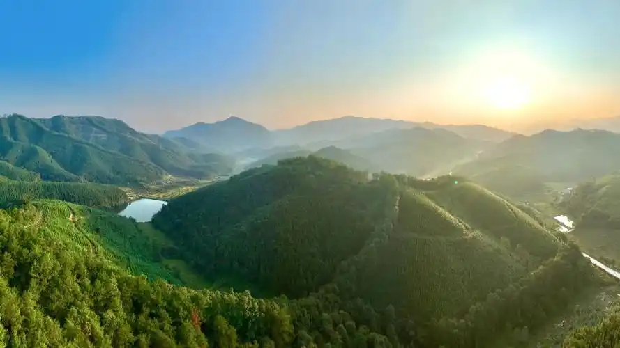 福建省三明市沙县区夏茂镇青钱柳家庭林场周围风光(无人机照片).