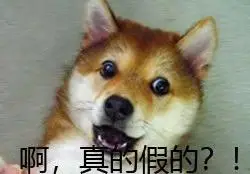 (狗子表情包 67)