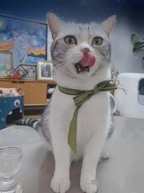 王泡芙的粉丝看过来