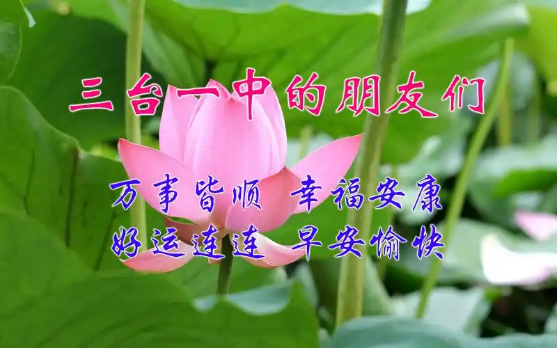 三台一中食堂阿姨剪的视频,泰裤辣!