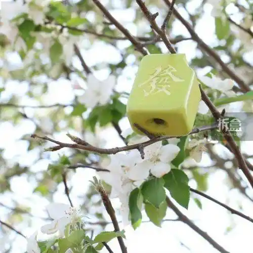 所乐工作室 发财麻将 苹果 可爱q版麻将水果 潮玩手办摆件