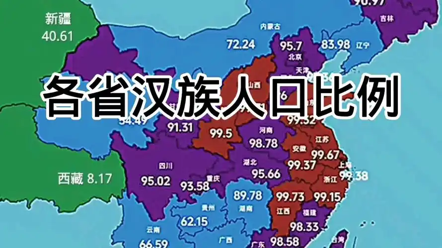 各省汉族人口比例