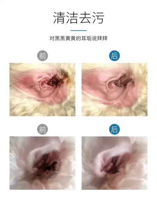 猫耳螨狗狗滴耳液油宠物除耳螨耳朵清洁液洁耳猫用洗耳液猫咪用品.