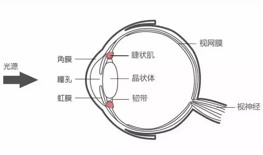 眼睛红别忽视当心成残疾