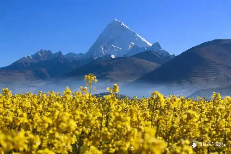 亚东县电子商务公共服务平台