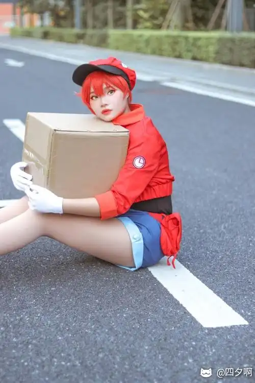 红细胞cos场照(●ω )