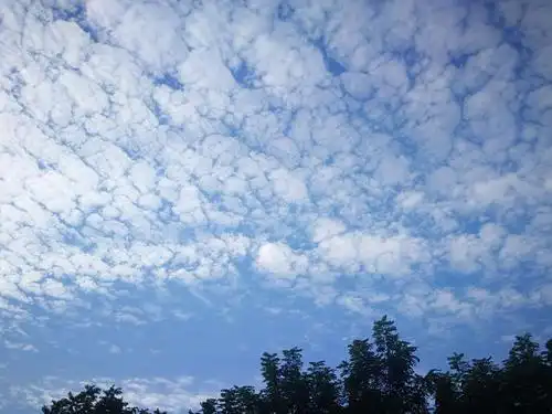 在这个秋天,即使你不能去享受大自然,也请你经常抬头望望天,让阳光