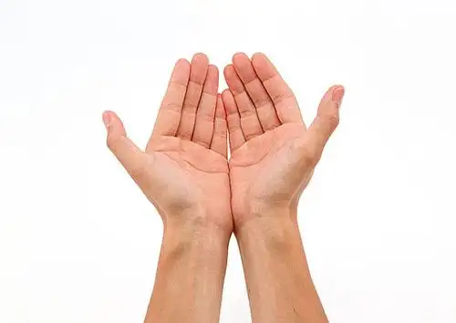 手的图片_图片大全