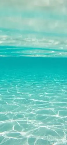 苹果11全屏高清壁纸