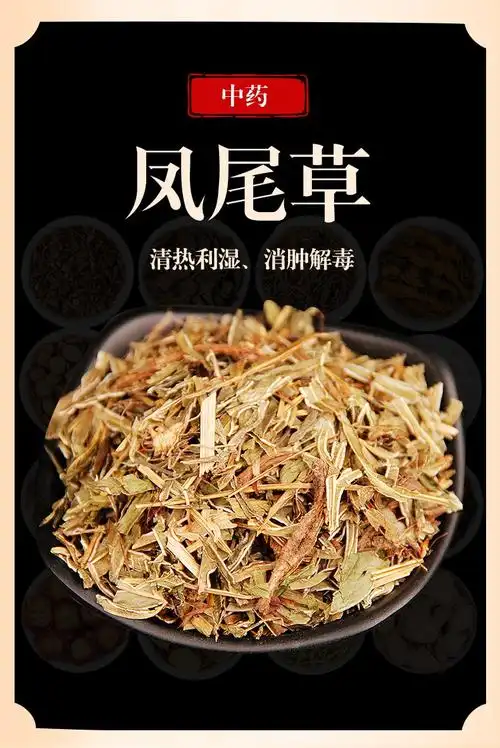 万日红 凤尾草500g 中药材金鸡尾非鲜花中草药 中药材凤尾草500克/袋