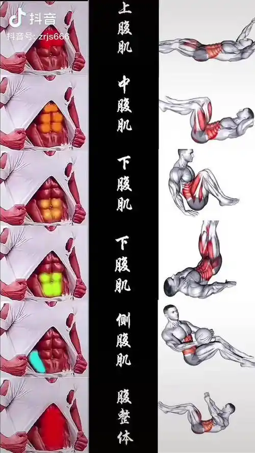 徒手训练的家庭版腹肌撕裂者你还在为你的一块腹肌而担心吗不存在的练